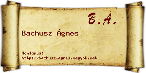 Bachusz Ágnes névjegykártya